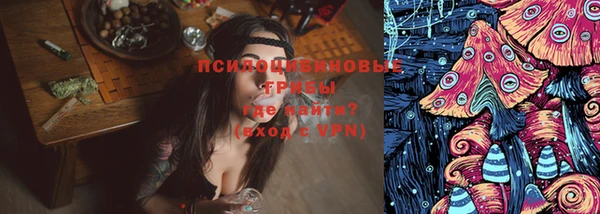 бошки Абинск